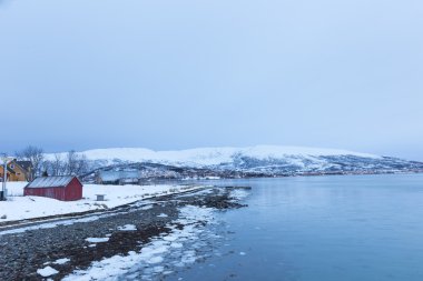 Norveç kışın - ada Kvaloya gezisi