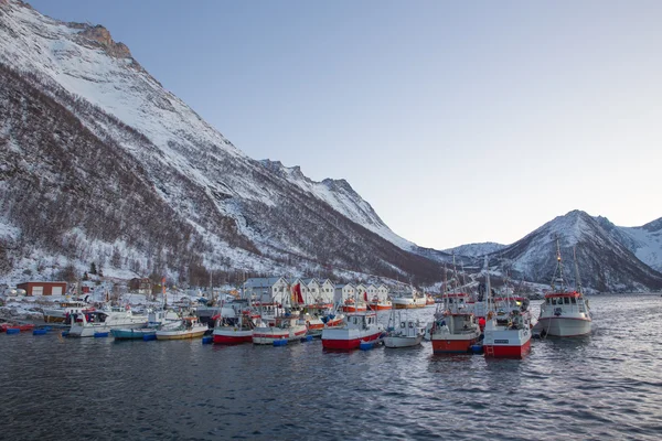 Norvegia in inverno - viaggio a Senja — Foto Stock