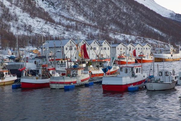 Norvegia in inverno - viaggio a Senja — Foto Stock