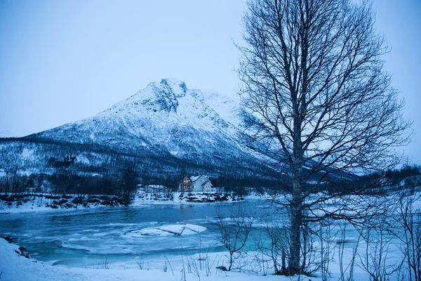挪威在冬季-旅行附近特罗姆瑟 — 图库照片
