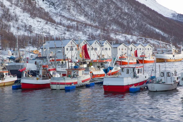 Norvegia in inverno - viaggio a Senja — Foto Stock