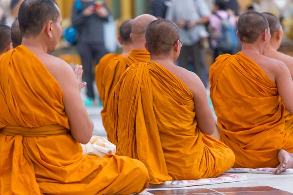 Buddhist monks pray at Shwedagon Pagoda, in Yangon, Myanmar — ストック写真