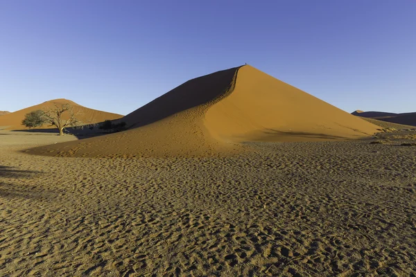 La duna 45 nel deserto del Namib, Sossusvlei, Namibia — Foto Stock