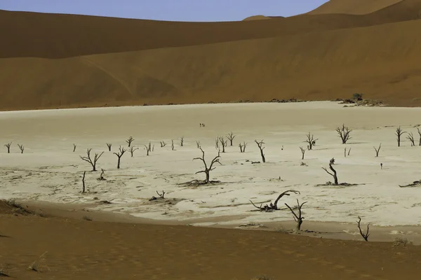 Deadvlei, ou Dead Vlei, à Sossusvlei, dans le Namib-Naukluft Par — Photo