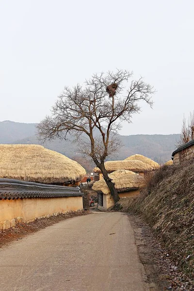 Hahoe Village Korea — ストック写真