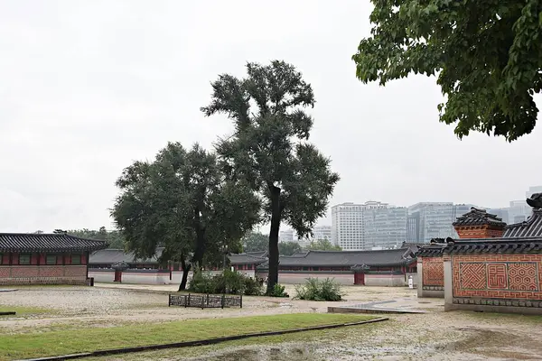 Este Gyeongbokgung Palácio Coréia — Fotografia de Stock