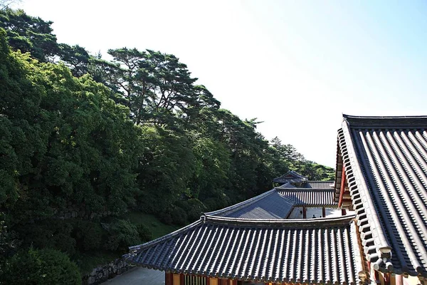 これは韓国のブルクサ寺院です — ストック写真