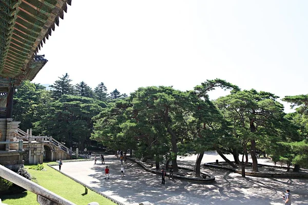 Este Templo Bulguksa Coréia — Fotografia de Stock