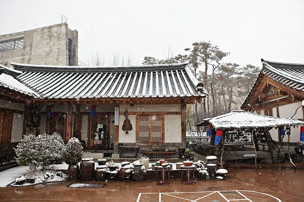 Рождественские Украшения Корейских Елках — стоковое фото