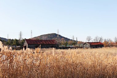 Bu bir Kore Budist tapınağı.