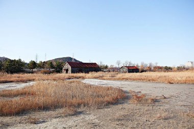 Bu bir Kore Budist tapınağı.
