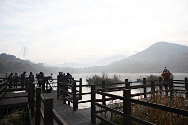 Kore kırsalının mercan manzarası.