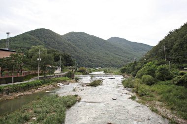 Kore kırsalının mercan manzarası.