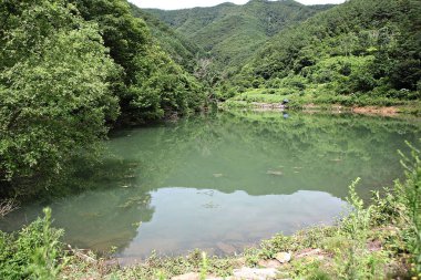 Kore kırsalının mercan manzarası.