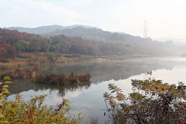 Kore kırsalının mercan manzarası.