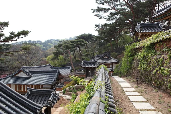 这是一个韩国佛教的佛寺 — 图库照片