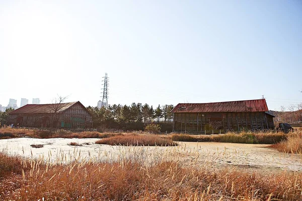 Este Templo Budista Coreano — Foto de Stock