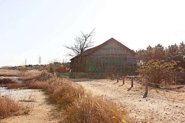 这是一个韩国佛教的佛寺 — 图库照片