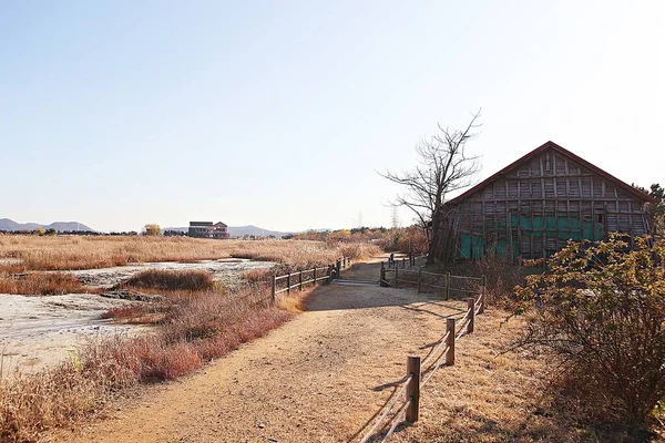 Bu bir Kore Budist tapınağı.