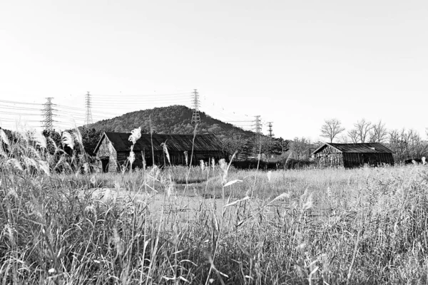 これは韓国の仏教寺院です — ストック写真