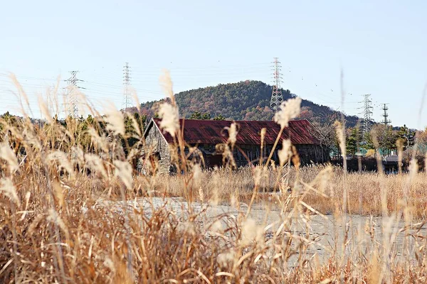 これは韓国の仏教寺院です — ストック写真