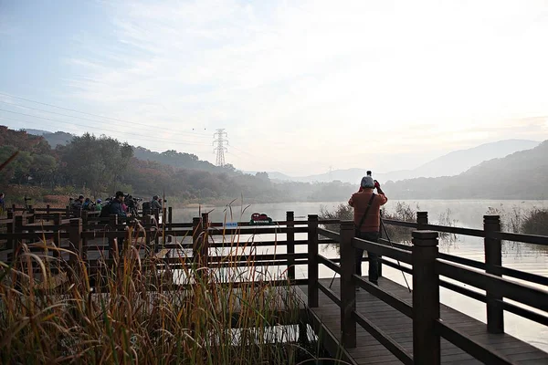 Kore kırsalının mercan manzarası.
