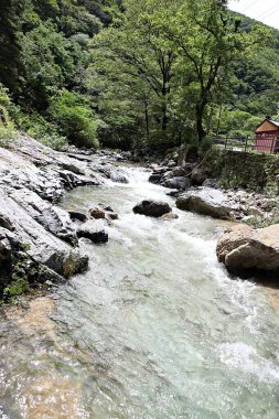 Kore kırsalının mercan manzarası.