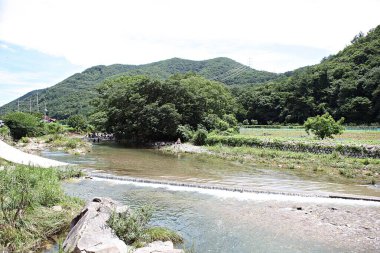 Kore kırsalının mercan manzarası.