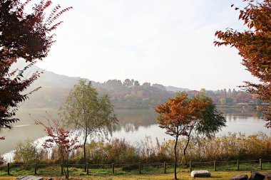 Kore kırsalının mercan manzarası.