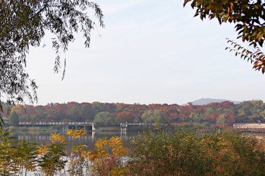 Kore kırsalının mercan manzarası.