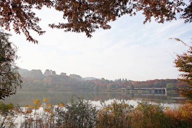 Kore kırsalının mercan manzarası.