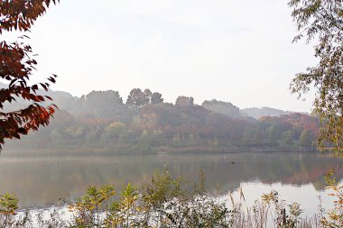 Kore kırsalının mercan manzarası.