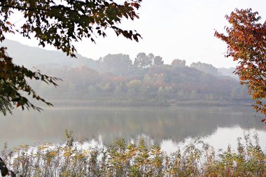 Kore kırsalının mercan manzarası.