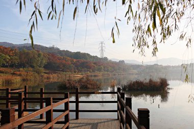 Kore kırsalının mercan manzarası.