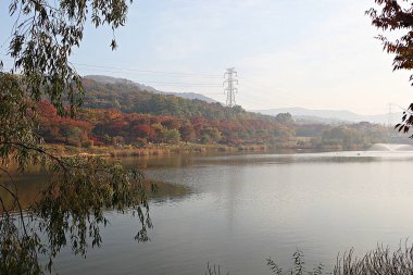 Kore kırsalının mercan manzarası.