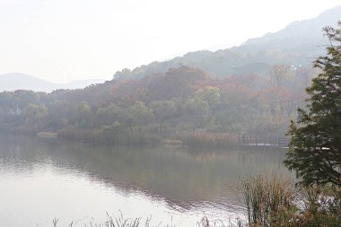 Kore kırsalının mercan manzarası.