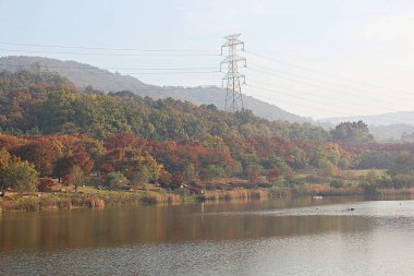 Kore kırsalının mercan manzarası.