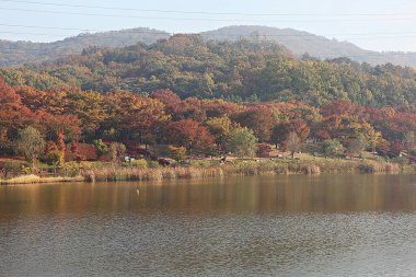 Kore kırsalının mercan manzarası.