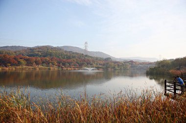 Kore kırsalının mercan manzarası.
