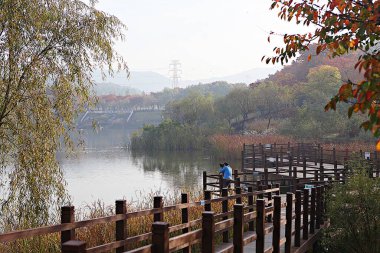 Kore kırsalının mercan manzarası.