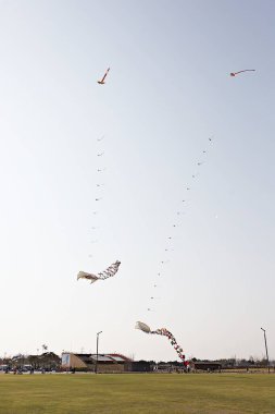 Kore kırsalının mercan manzarası.