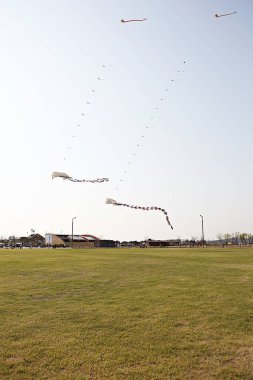 Kore kırsalının mercan manzarası.