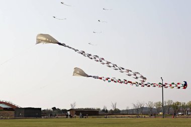 Kore kırsalının mercan manzarası.