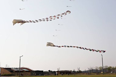 Kore kırsalının mercan manzarası.