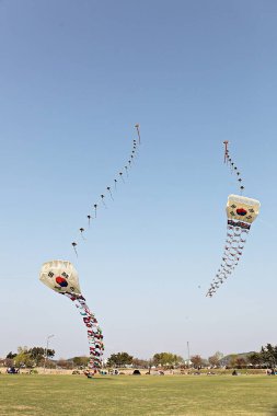 Kore kırsalının mercan manzarası.