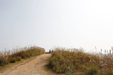 Kore kırsalının mercan manzarası.