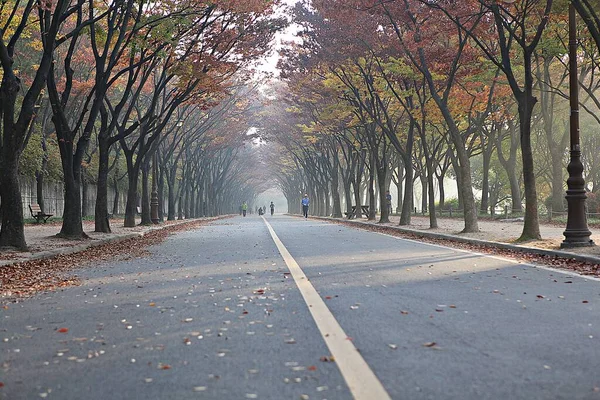 韓国の田舎の風景です — ストック写真