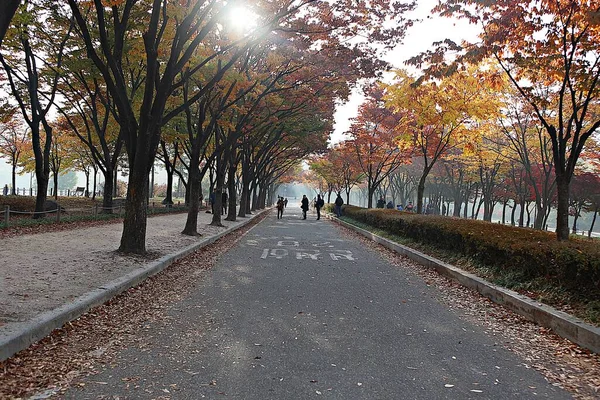 Paesaggio Prestito Della Campagna Coreana — Foto Stock