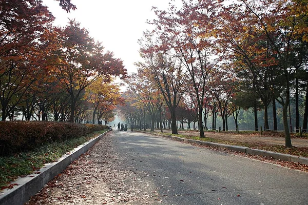 那是韩国乡村的一幅风景画 — 图库照片