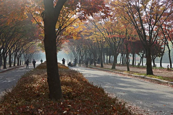 Paesaggio Prestito Della Campagna Coreana — Foto Stock